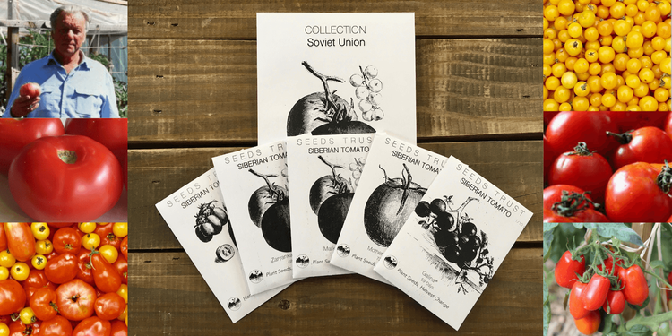 Tomatoes — Seeds Trust